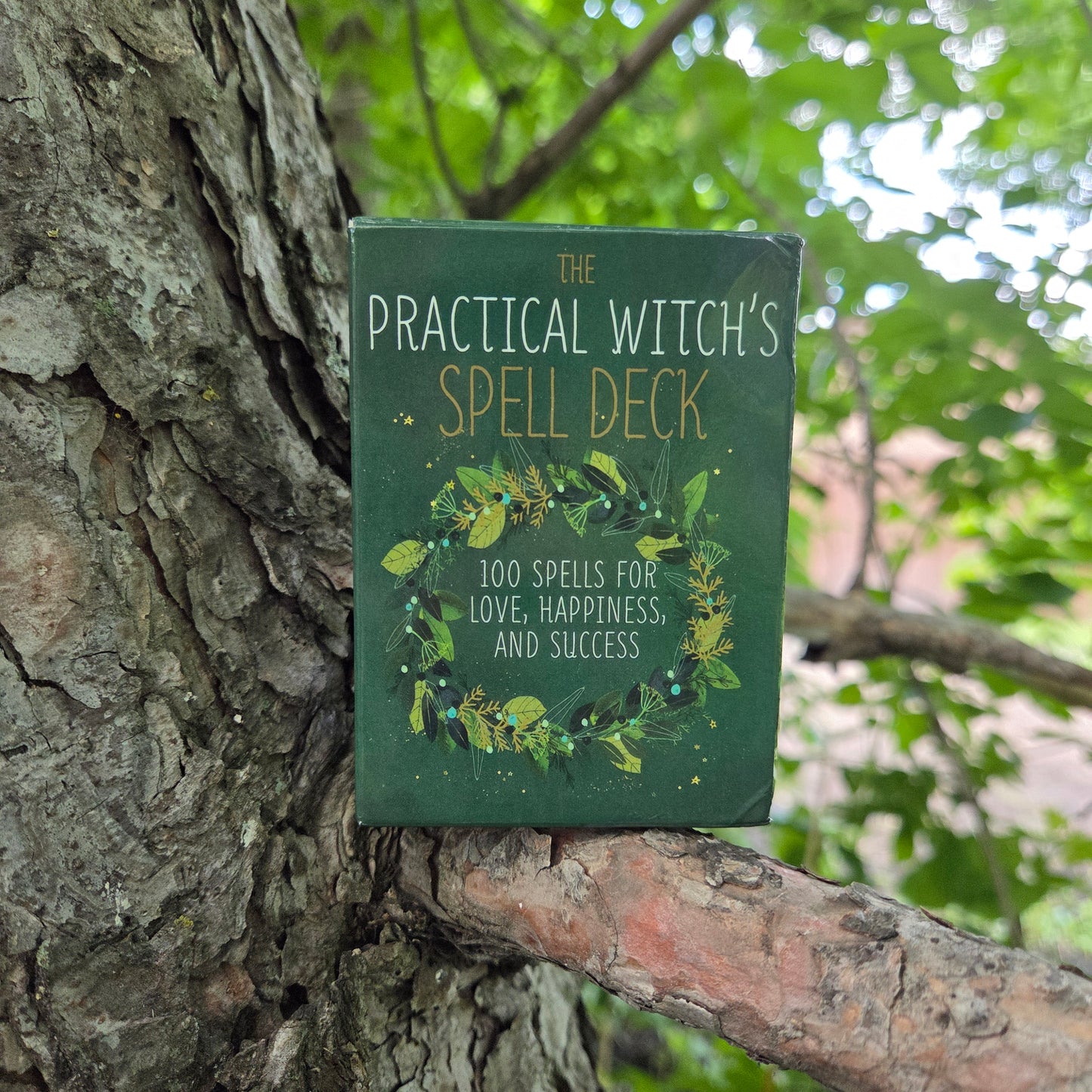 The Practical Witches Spell Deck