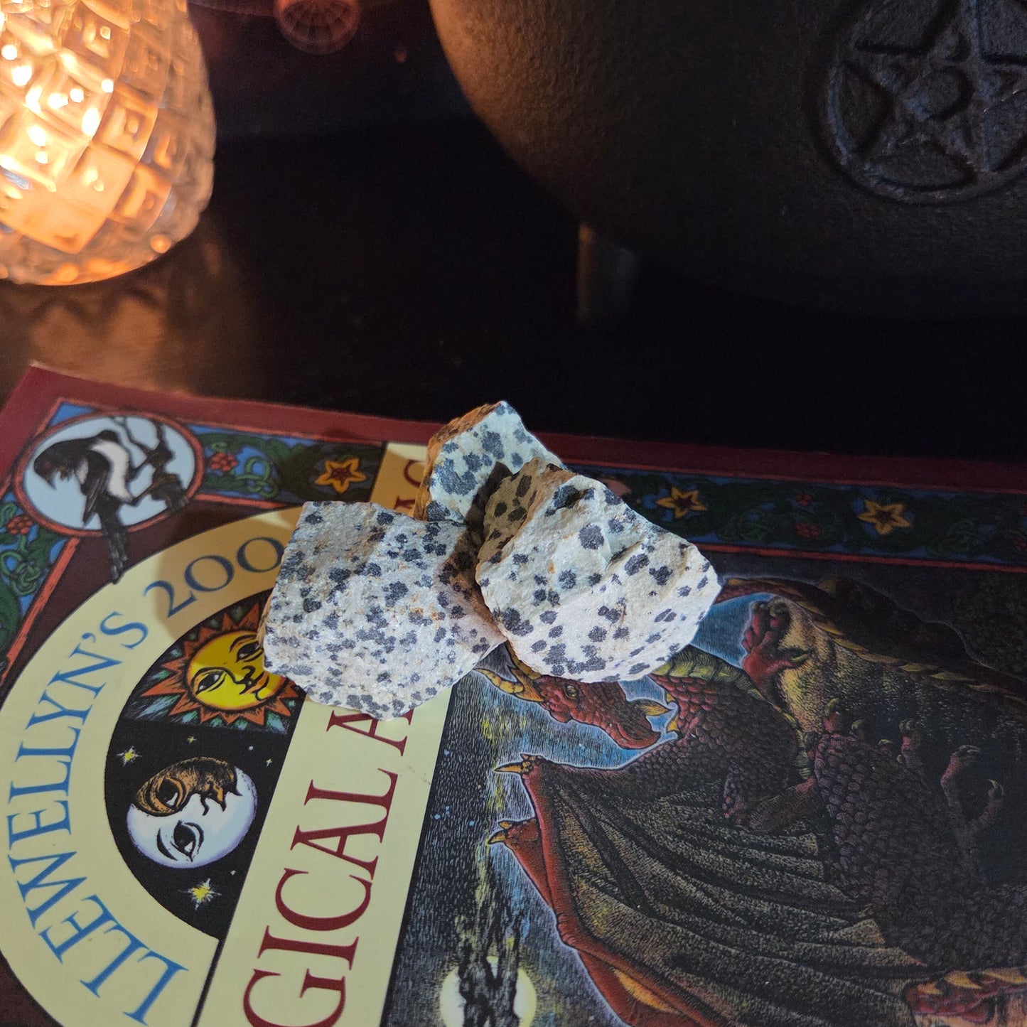 Dalmatian Jasper - Raw