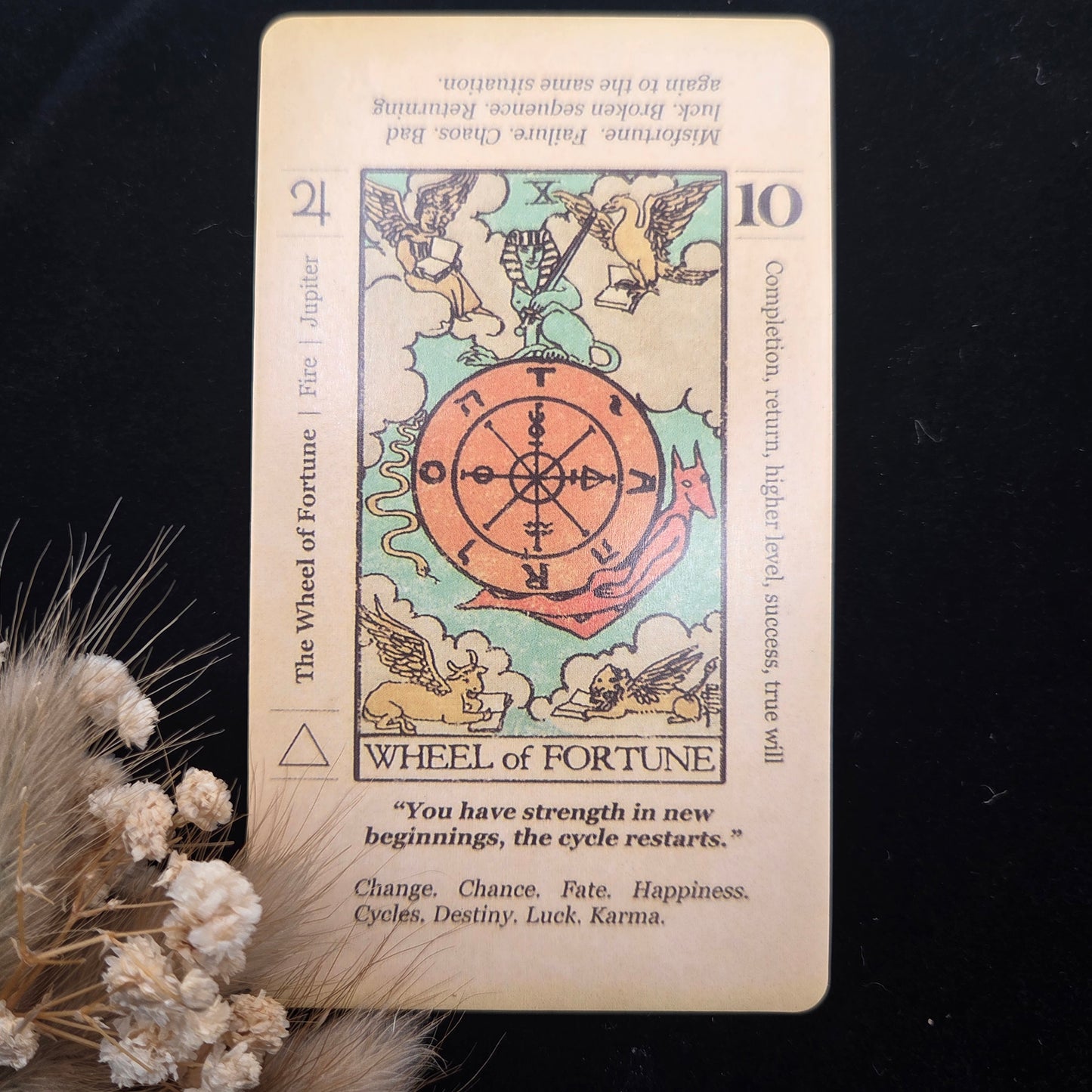 Tarot Deck Beginner Bundle